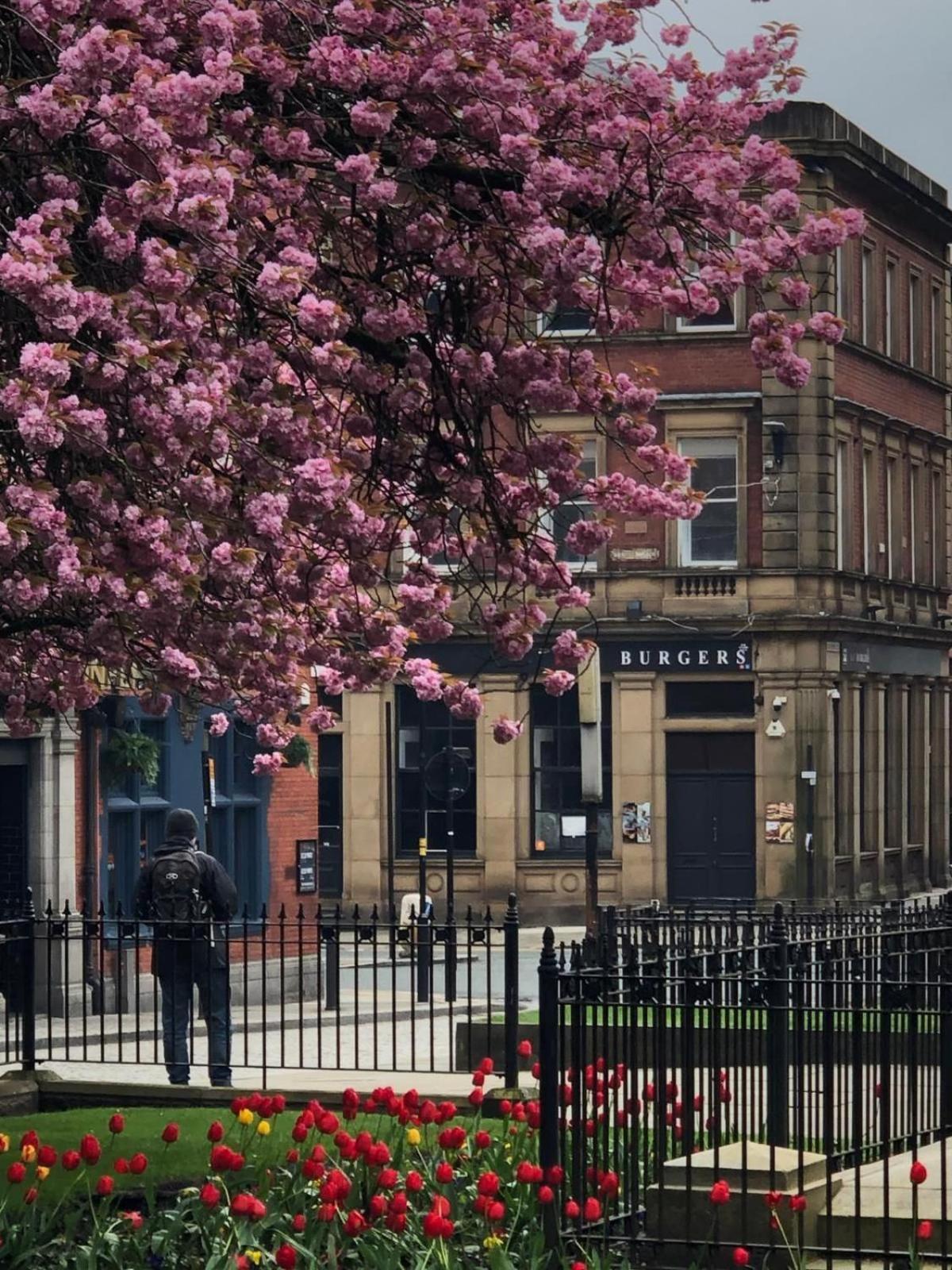 Studio In Bolton Town, Short Stay Studio 2 Экстерьер фото